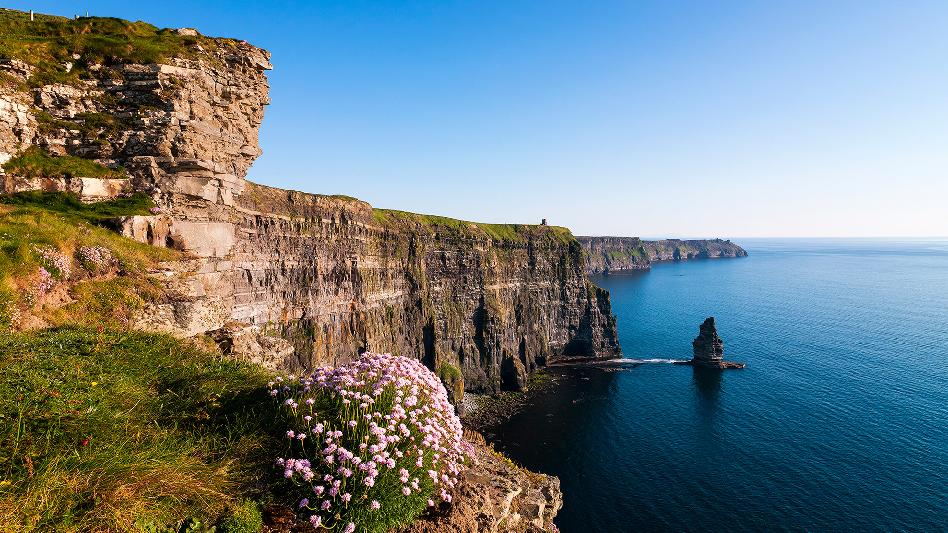 Cliffs View with Flowers